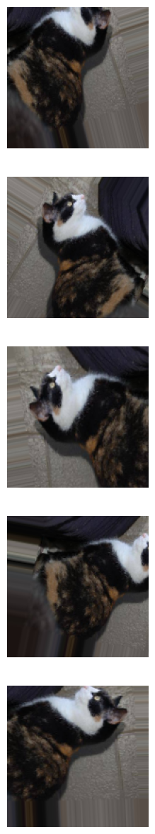 Data augmentation example showing 5 variations of a cat image